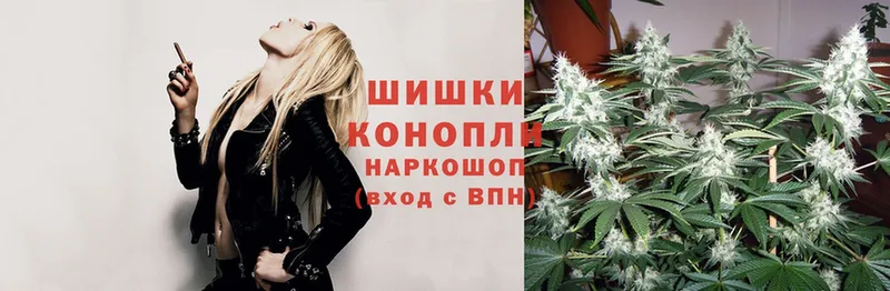 купить закладку  Нефтекумск  Конопля SATIVA & INDICA 